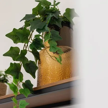 Apartman Modern & Terrace Kielkowskiego By Renters *